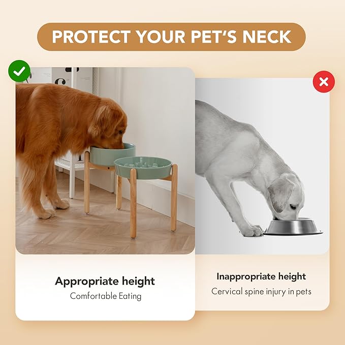 Ceramic Raised Slow Feeder Dog Bowl Set, Elevated 8.2inch Bowl and 9.5inch Slow Pet Food Dish with Wooden Stand for Large Dog (2 x Light Green+ Stand)