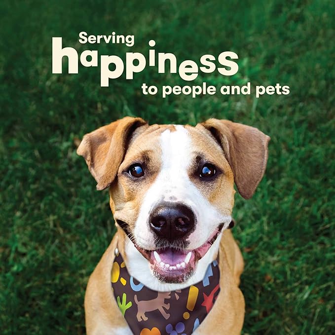 Pet 'n Shape Chik 'n Skewers Natural Dog Treats, 1-Pound Tub