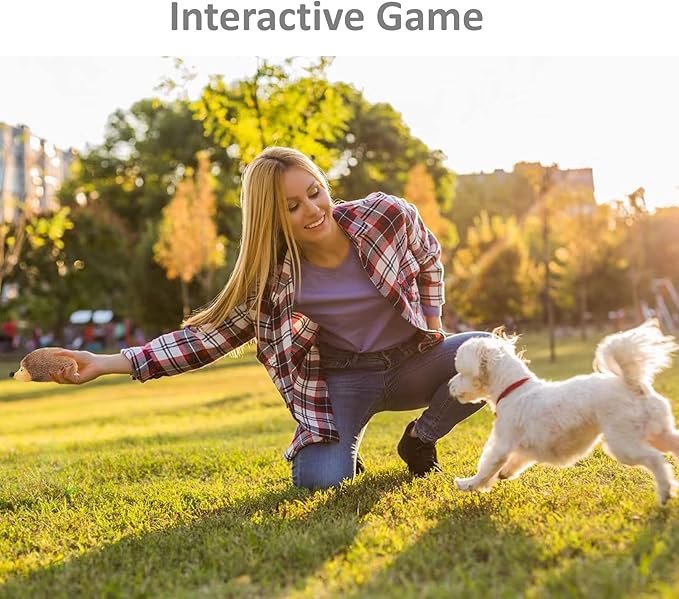 SUNKYPUP Hedgehogz Squeaky Dog Toy, Stuffed Plush Dog Toys for Small Medium Dogs (8 Inch (1 Pack))