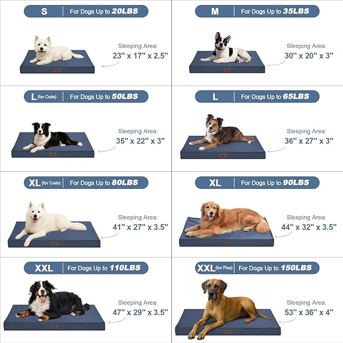 Orthopedic Dog Bed for Medium Dogs - Waterproof Outdoor Protection with Egg Crate Foam, Removable & Machine Washable Oxford Cover, 30x20 Inch, Navy
