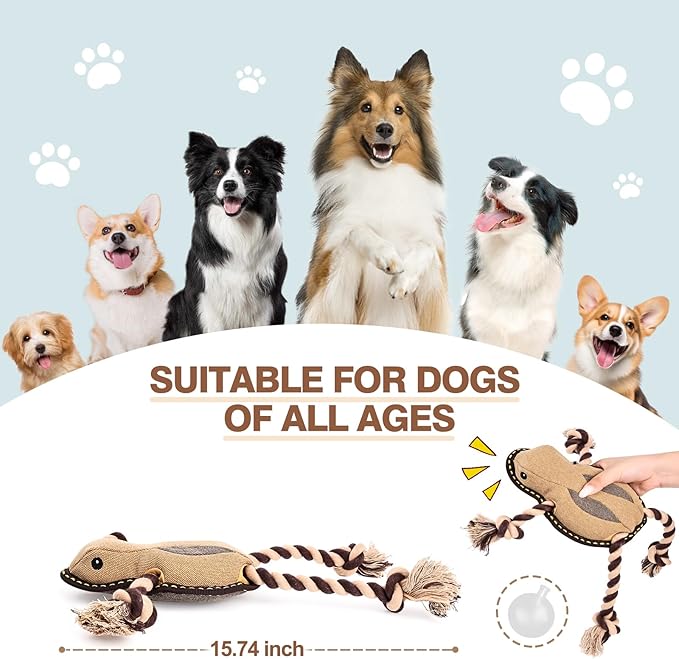 Tough Durable Squeaky Dog Toys for Aggressive chewers Interactive to Keep Them Busy, Funny Plush Dogs Toy for Small Medium Large (New Frog)