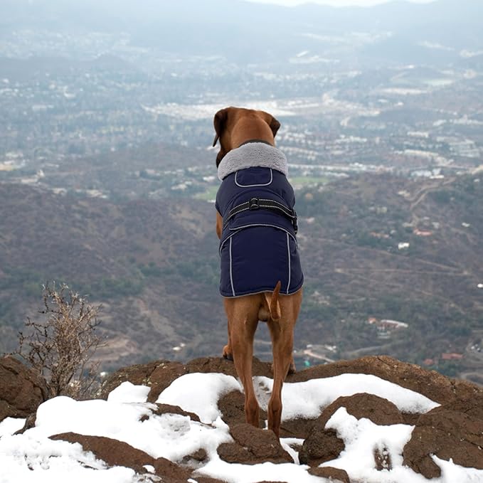 Lelepet Warm Dog Coat Reflective Fleece Vest Waterproof Dog Jacket with Adjustable Buckle Hook & Loop Windproof Cold Weather Coats for Small Medium Large Dogs, Navy Blue, L