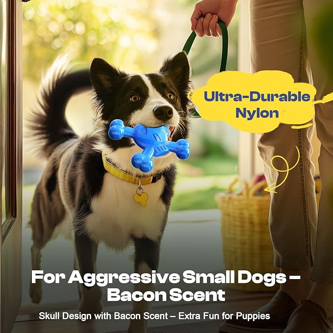 Dog Chew Toys for Aggressive Chewers – Indestructible Nylon Bone for Puppy Teething,Tough Chew Toy for Small Dogs, Bacon Flavor and Outdoor Fun, Skull Design