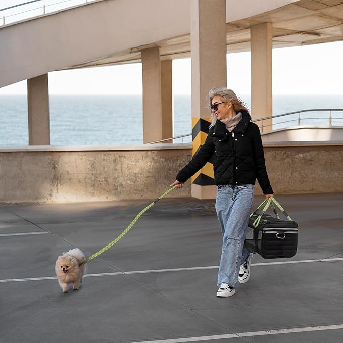 | TSA Airline Approved |Soft Sided Pet Carrier | Cat Carrier | Dog Carrier| Pets Up to 15 lbs | Leash & Luggage Strap | Black with Green Handle