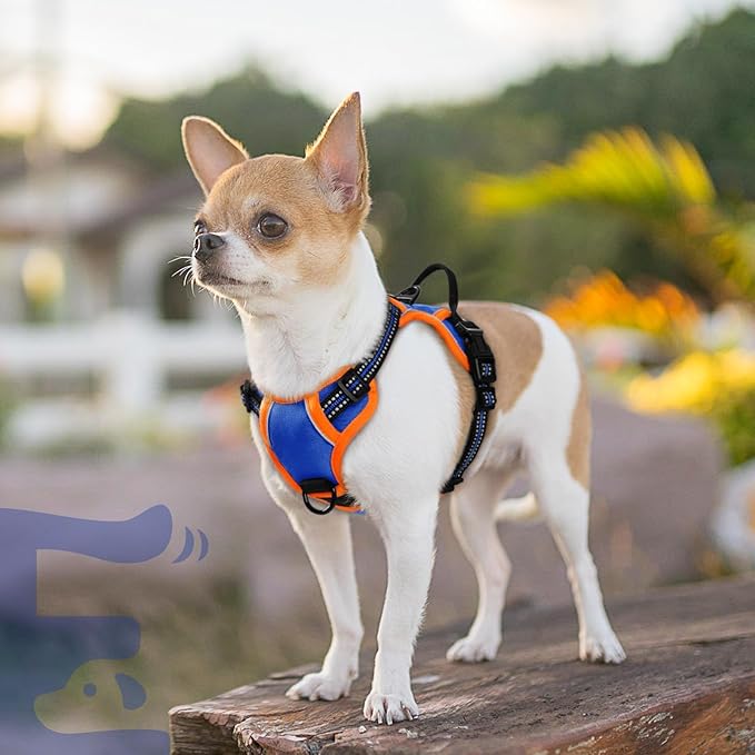 Eagloo Small Dog Harness No Pull, Service Vest with Reflective Strips and Control Handle, Adjustable and Comfortable for Walking, No Choke Pet Harness with 2 Metal Rings, Blue & Orange, XS