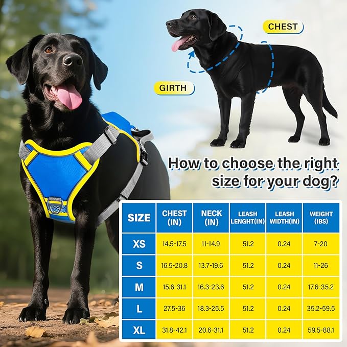 No Pull Dog Harness, 2 in 1 Retractable Harness with Auto-Lock, Reflective Breathable Mesh and Handle, Adjustable Leash Set for Small, Medium,Large Dogs,Cats (Color 2, XL)