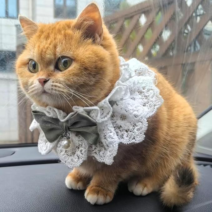 Elegant Lace Cat Collar with Cute Bow,Kitty Necklace with Bow Tie and Pearl,Pet Lace Bib Collar with Cute Bow,Cat Princess Costumes,Green,1 Piece
