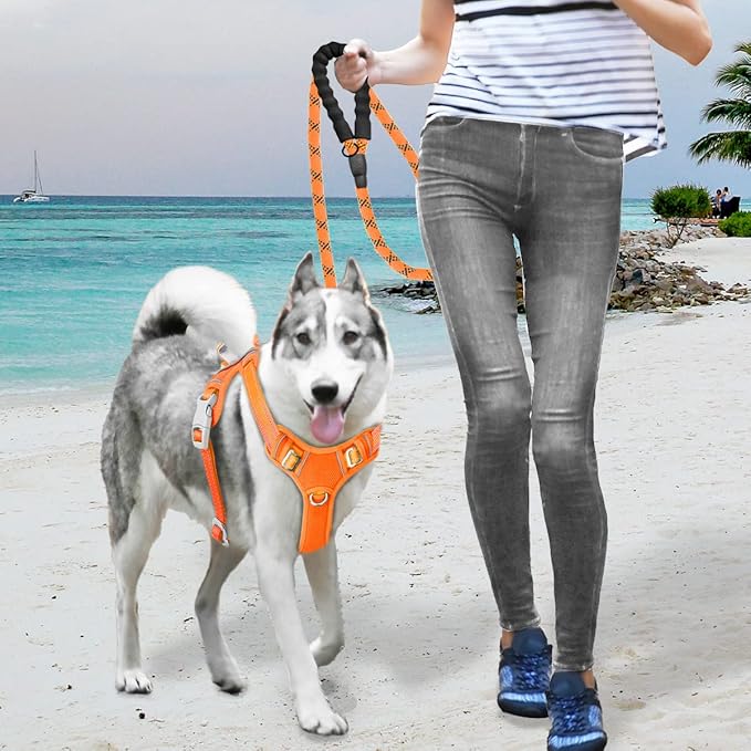BARKBAY No Pull Dog Harness Large Reflective Dog Harness with Front Clip and Easy Control Handle for Walking Training Running with ID tag Pocket(Orange,L)