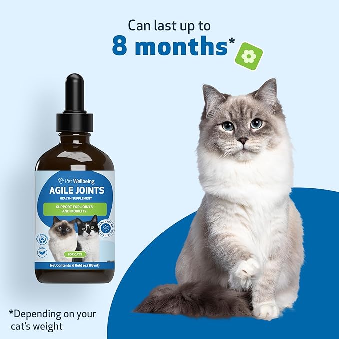 Pet Wellbeing Agile Joints for Cats - Veterinarian-Formulated - Hip and Joint Health, Mobility, Devil’s Claw, Boswellia, Joint Ligament and Cartilage - Herbal Supplement 4 oz (118 ml)