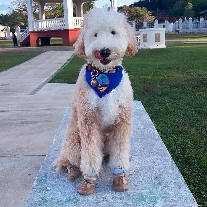 QUMY Dog Shoes for Large Dogs, Medium Dog Boots & Paw Protectors for Winter Snowy Day, Summer Hot Pavement, Waterproof in Rainy Weather, Outdoor Walking, Indoor Hardfloors Anti Slip Sole Khaki 8