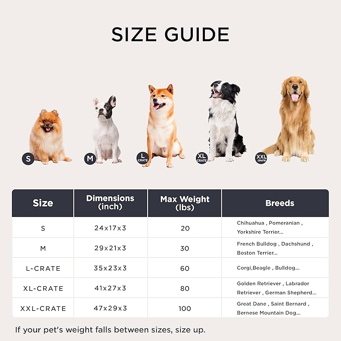 Bedsure Washable Dog Crate Bed Large Sized Dog, Comfort Fluffy Plush Pet Pillow Bed Kennel Pad with Non-Slip Bottom, Machine Washable Pet Sleeping Mat, 35"x23", Gray