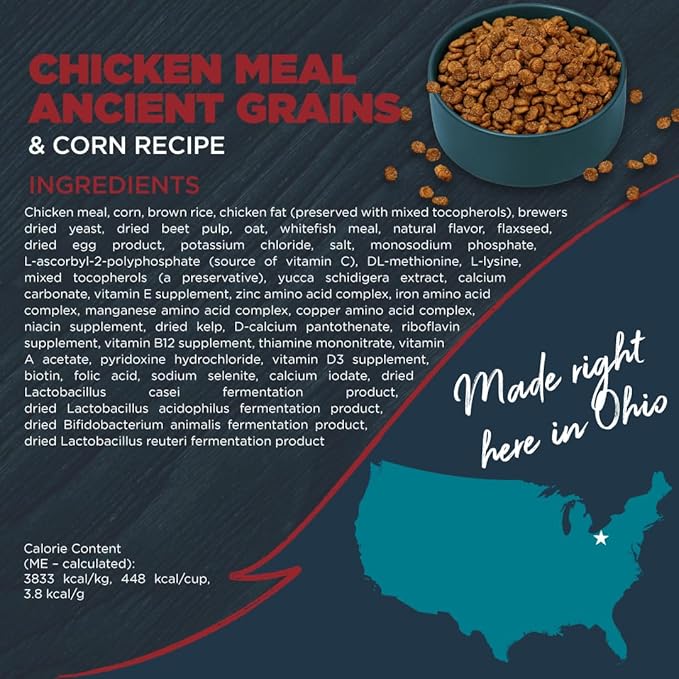 Blackwood Complete & Balanced Diet Dry Dog Food, Chicken Meal with Ancient Grains & Corn, 24 Pound Bag, Slow Cooked with Vitamins & Minerals