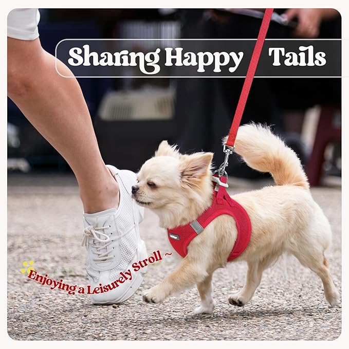 rabbitgoo Dog Harness Small Sized and Leash Set, Step in Soft Light Puppy Vest, Breathable Mesh Pet Harness, Reflective for Safe Easy Walking, Red S