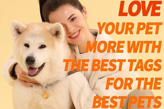 Dogs ID Tags Personalized Front and Back Engraving Brass Adventure Map Shape