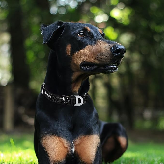 Martingale Dog Collar Reflective Nylon Soft Cushion with Alloy Buckle Dog Collar Martingale Small Medium and Large Dogs (Small, Pink)