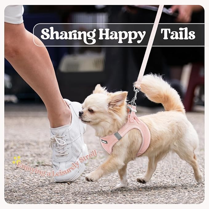 rabbitgoo Dog Harness Small Sized and Leash Set, Step in Soft Light Puppy Vest, Breathable Mesh Pet Harness, Reflective for Outdoor Safe Walking, Pink XXL