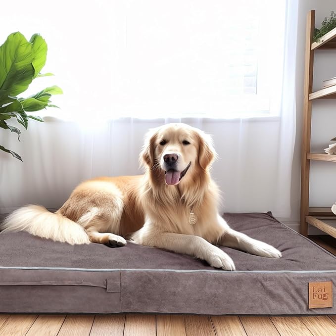 Laifug Orthopedic Memory Foam Pet(54"x 36"x 4",Slate Grey)/Dog Bed with Durable Waterproof Liner and Removable Washable Cover