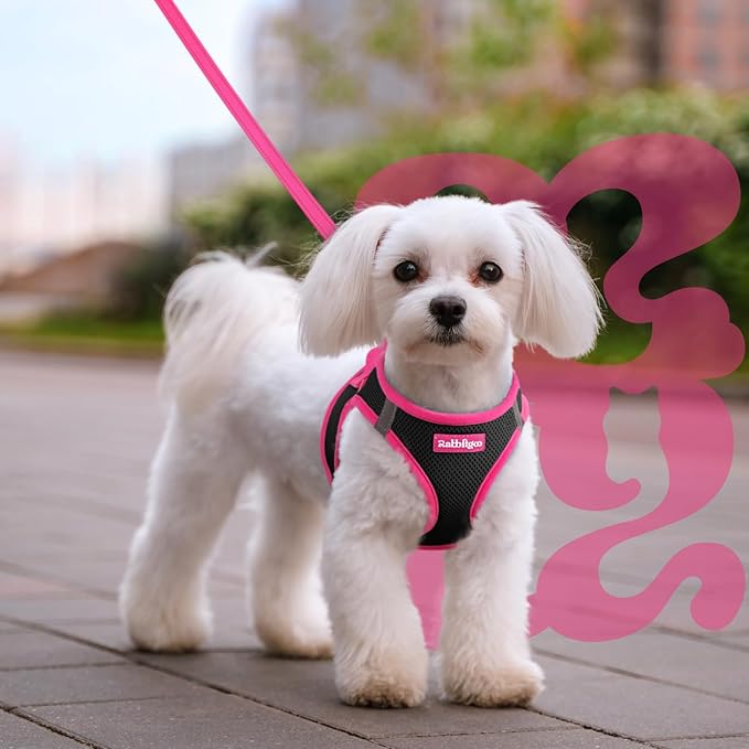 rabbitgoo Dog Harness Small Sized and Leash Set, Step-in Breathable Pet Harness, Soft Walking Reflective Puppy Vest for Small Dogs, Black & Rose Red, M