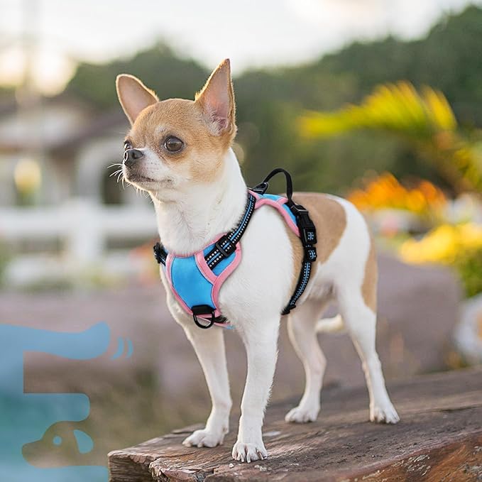 Eagloo Small Dog Harness No Pull, Service Vest with Reflective Strips and Control Handle, Adjustable and Comfortable for Walking, No Choke Pet Harness with 2 Metal Rings, Pink & Blue, XS
