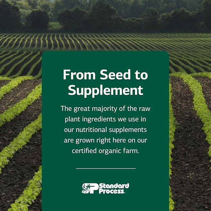 Standard Process Inc. Canine Adrenal Support - Nutritional Canine Supplement for Liver & Kidney Support - Powder Formula to Aid Dog's Adrenal Glands & Health - 25 g