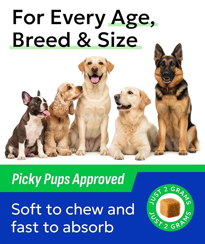 Bark&Spark Glucosamine Chondroitin Dog Hip & Joint Supplement - Joint Pain Relief - Hip & Joint Chews - Joint Support Large Small Breed - Senior Doggie Vitamin Pill Joint Health (120 Treats - Chicken)