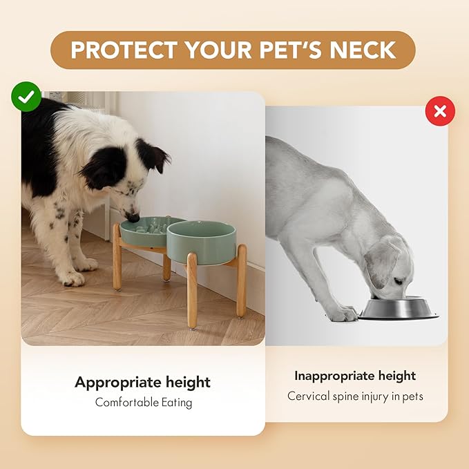 Ceramic Raised Slow Feeder Dog Bowl Set, Elevated 7.3inch Bowl and 8.2inch Slow Pet Food Dish with Wooden Stand for Medium and Large Dog (2 x Light Green+ Stand)