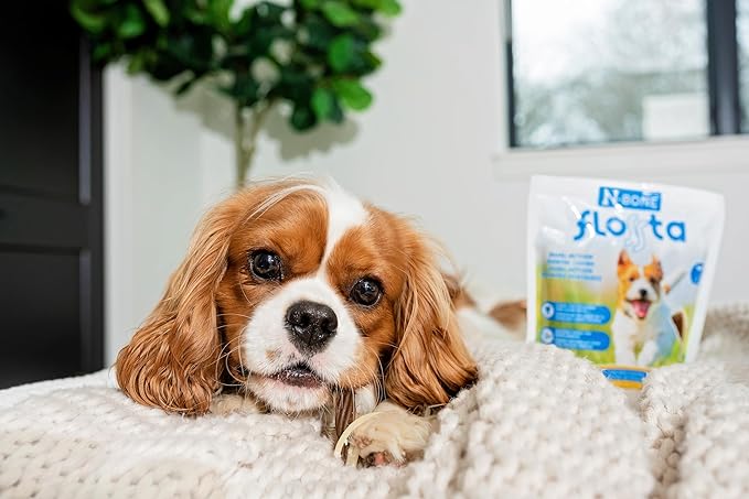 N-Bone FLOSSta Dental Chews for Dogs – Chicken Flavor, No Dyes, Grain-Free, Breath Freshening, Plaque & Tartar Control, Digestible Teething Aid – 6.4 oz Bag, Made in USA