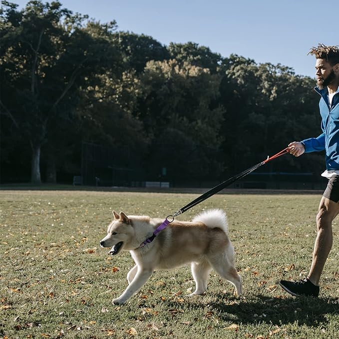 Martingale Collar for Training Dogs. Adjustable Reflective Collars with Buckle-USA Flag- NO Pull-Prevents Slipping Out, for Medium Large XL Dogs. Helps with Strong pullers(L, Blue)