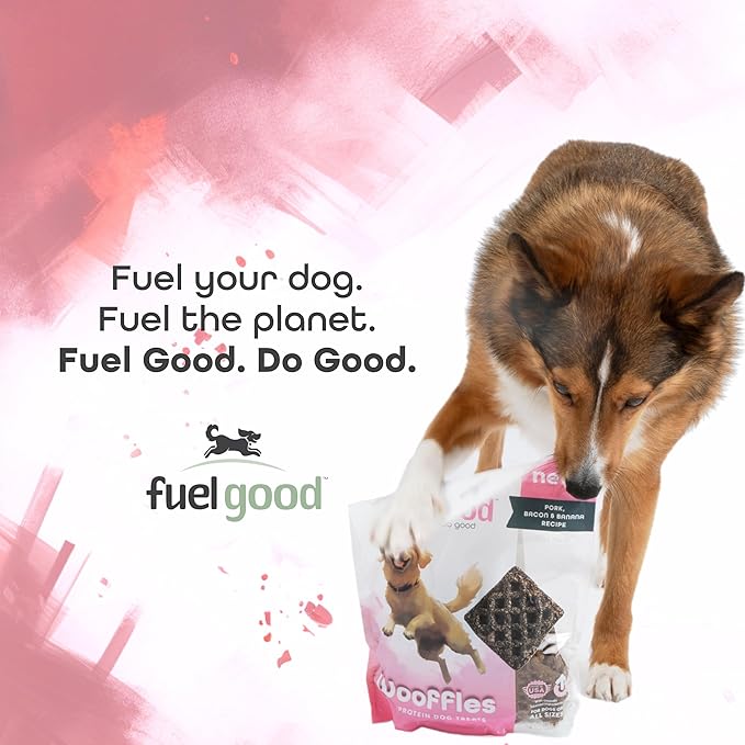 Wooffles High Protein Dog Treats - Pork, Bacon & Banana Recipe - 11oz Bag - High Protein Treats for Dogs, Made in The USA