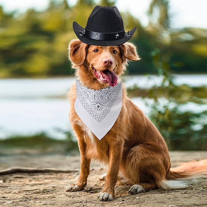 Yewong Pet Cowboy Costume Accessories - Dog Cat Pet Size Cowboy Hat and Bandana Scarf West Accessories for Puppy Kitten Party Festival and Daily Wearing Set of (Black Hat+White Bandana)