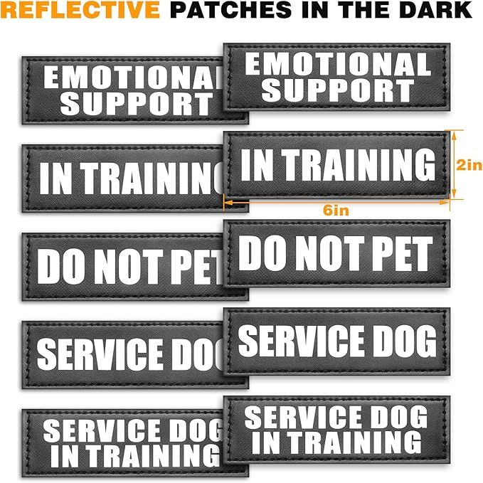 WINSEE Service Dog Vest Harness for Large Dog, Tactical Working MOLLE Vest with 10 Pet Patches, No Pull Heavy Duty Harness for Training Hunting Walking