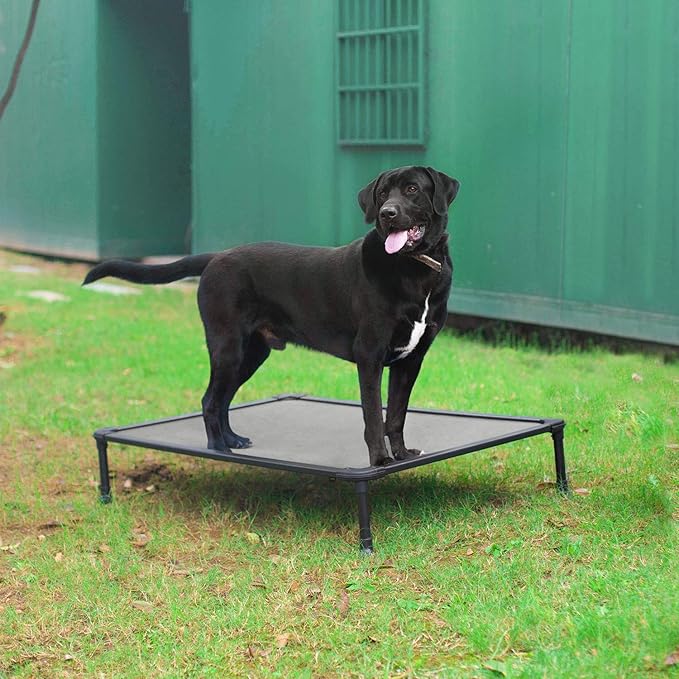 Veehoo Chew Proof Elevated Dog Bed - Cooling Raised Pet Cot - Rustless Aluminum Frame and Durable Textilene Mesh, Unique Designed No-Slip Feet for Indoor or Outdoor Use, Grey, Large, CWC2002