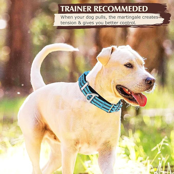 Martingale Collar for Dogs -Reflective Nylon No Slip Choke with Padded Comfort Heavy Duty Dog Collar with Quick Release Buckle for Training, Walking & Overexcited Pulling Blue L