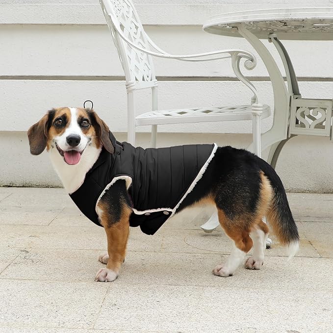 Fleece Lining Dog Hoodie with Harness Built in,Extra Warm Small Dog Jacket in Winter Puppy Coats with Drawstring Hooded,Black XS