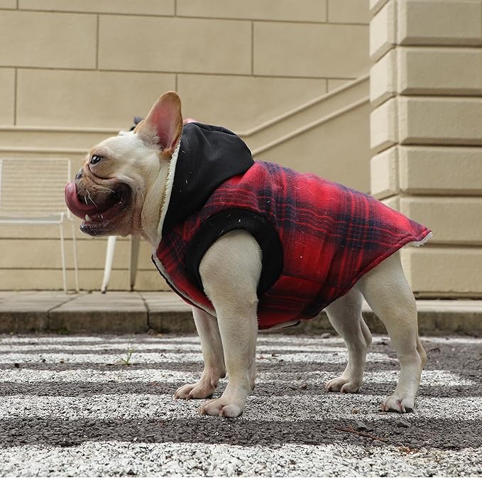 Fleece Lining Dog Hoodie for Small Dogs Extra Warm Plaid Sweater with Drawstring Hooded Coats in Winter Puppy Jacket,Red S