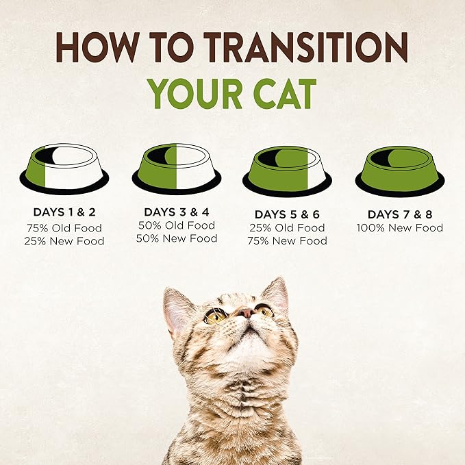 Wellness CORE Signature Selects Chunky Adult Wet Cat Food, Natural, Protein-Rich, Grain Free, 2.8 Ounce, 12 Pack (Chicken & Salmon)