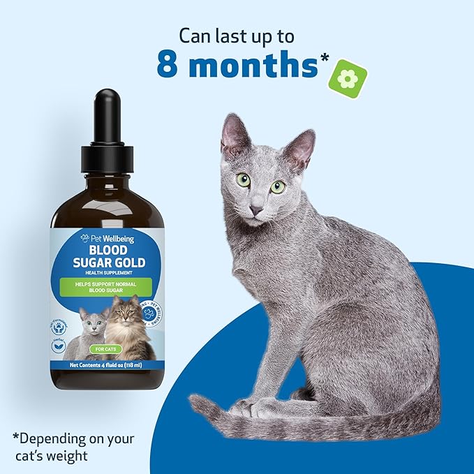 Pet Wellbeing Blood Sugar Gold for Cats - Healthy Blood Sugar Levels, Pancreas & Liver Function, Devil’s Club, Gymnema - Veterinarian-Formulated Herbal Supplement 4 oz (118 ml)