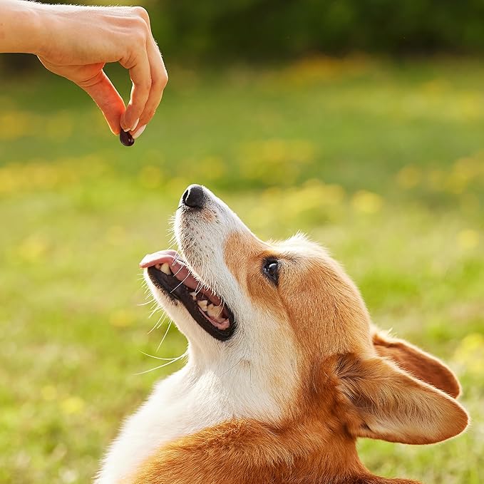 1TDC WorksSoWell Dual Action Joint Supplement for Dogs & Cats - Hip and Joint Supplement for Large Breed & Small Breed - Also Great for Oral Health - Muscle & Stamina Recovery & Arthritis - 120ct