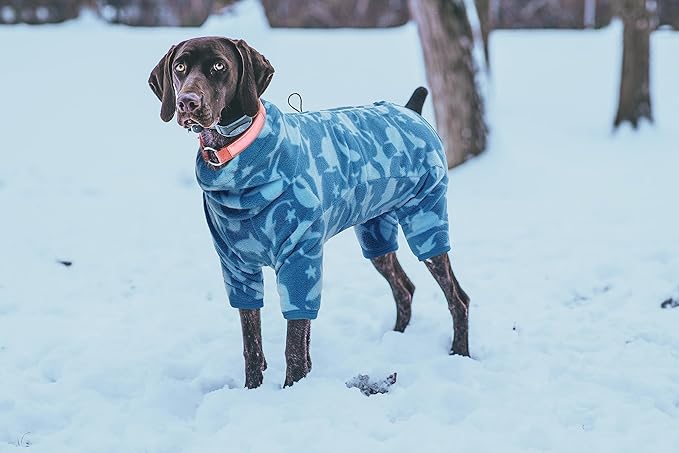 ROZKITCH Shark Dog Pajamas, Pet Windproof Warm Cold Weather Jacket Vest with Luminous Zipper, Jumpsuit Apparel Outfit Clothes for Small Medium Large Dog Shark M