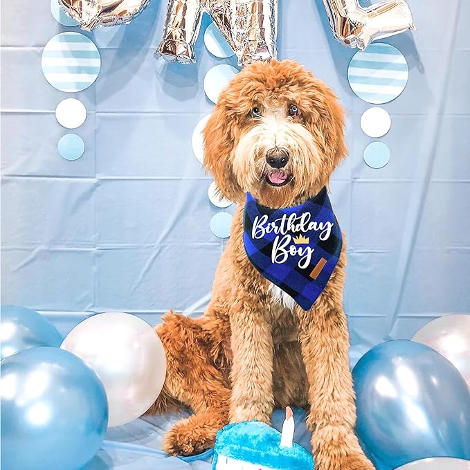 Realeaf Birthday Boy Dog Bandana, Dog Birthday Party Supplies,Premium Durable Fabric,Buffalo Bandana for Medium and Large Dogs Pets(Blue Paid, Large)