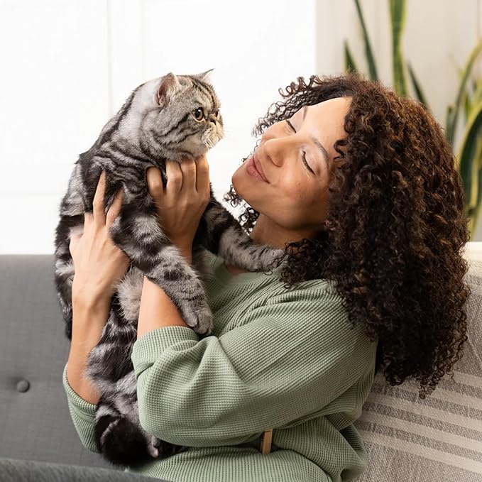 Open Farm, Canned Cat Food Topper, Silky Mousse Made with 95% Responsibly Sourced Icelandic Fish, Grain & Legume Free, Arctic Char Recipe, 3.17oz Cans (Pack of 17)