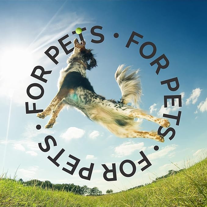 Bark2Basics Salon Scents Pet Grooming Cologne - 8 oz, Natural Professional Grade Perfume for Dogs and Cats, Long Lasting, Deodorizing, Made in USA (Peach Fizz)