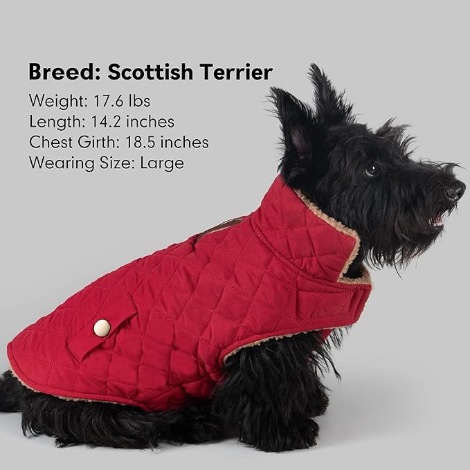 azuza Dog Jacket Waterproof & Windproof Dog Coat for Small Dogs with Thick Fleece, High Collar with Leash Hole, Adjustable Velcro & Elastic Belly, Red L