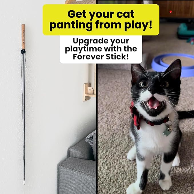 Forever Stick - The Unbreakable Cat Teaser Wand, Extra Long Durable Interactive Toy for Indoor Cats, Cat Fishing Pole Toy for Bored Indoor Adult Cats, Feather String Toy On Stick Enrichment