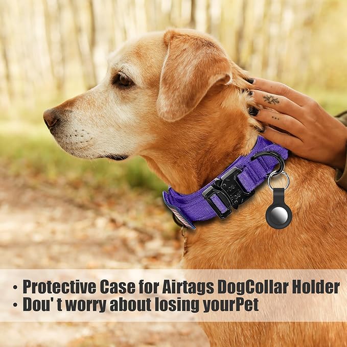 Tactical Dog Collar and Bungee Leash Set, Adjustable Military Training Nylon Dog Collar with Controll Handle and Heavy Metal Buckle,with USA American Flag, Patches and Airtags Case (Purple, XL)