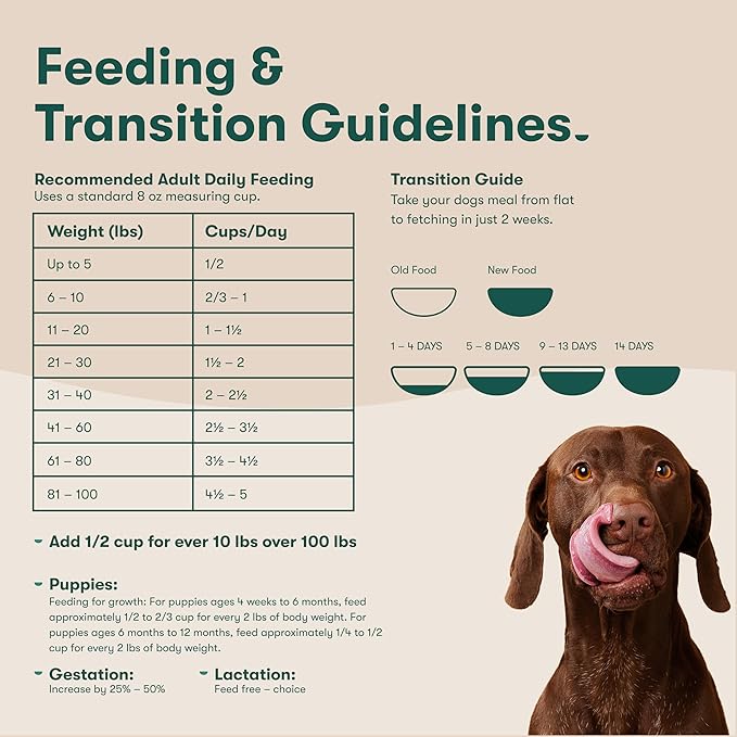 Jinx Premium Dry Dog Food, for All Lifestages - Real Salmon, Brown Rice & Sweet Potato Kibble with Superfoods for Immune Support & Probiotics for Digestive Support - No Fillers - 30lb