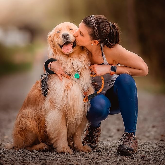 GEIT 2/4/5/6FT Dog Leash, Heavy Duty Rope Leashes, Reflective Nylon Pet Lead with Aluminum Quick Release/Locking Tactical Frog Clip for Small Medium and Large Dogs, Orange, 1/2 inch
