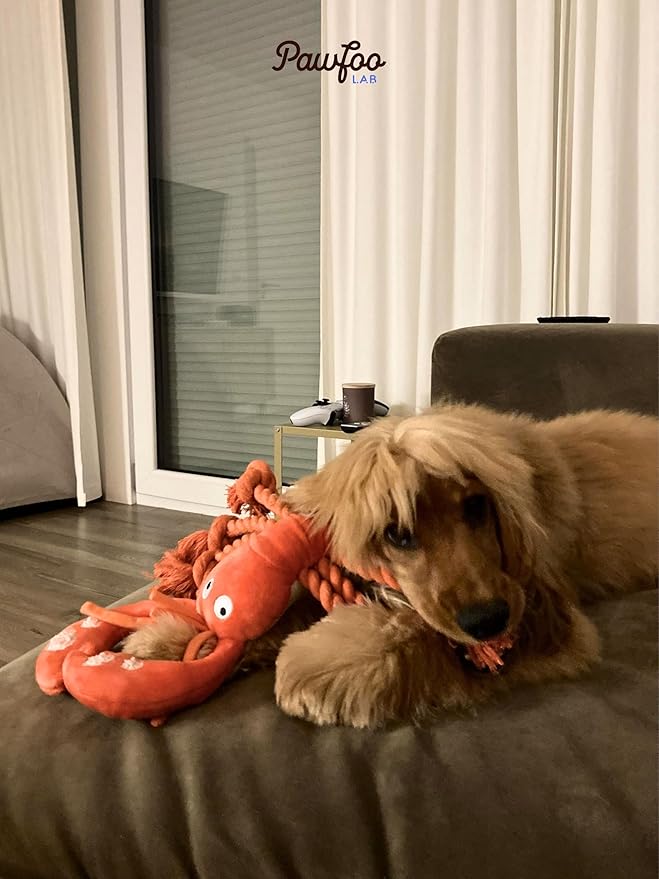 Lobster Dog Toys, Large Squeaky Rope Tug of War Dog Toys for Puppy, Small, Medium, Large Dogs, Interactive Stuffed Plush Toys