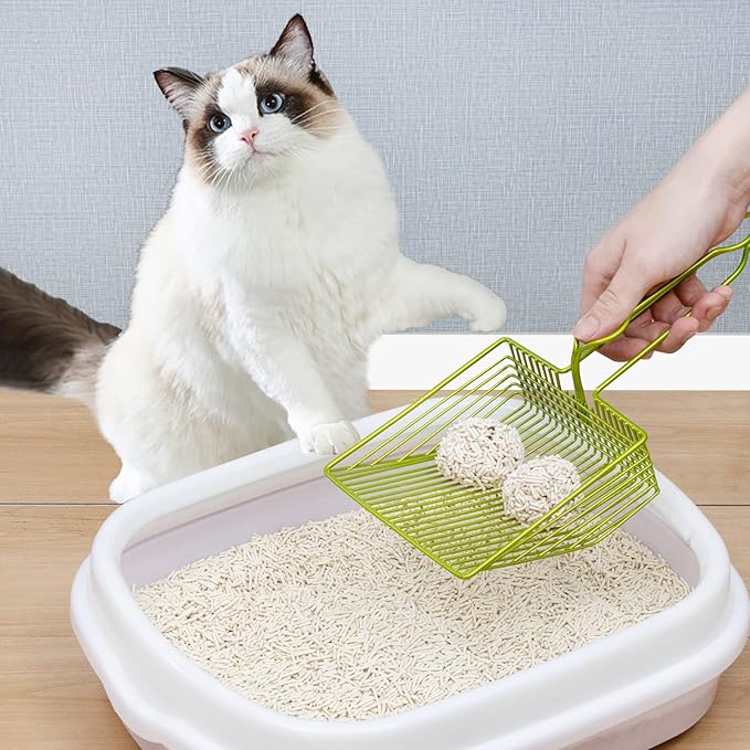 DHXYZZB Cat Litter Scoop, Metal Cat Litter Scooper Kitty Poop Scooper Stand for Litter Box, Fast Sifting Non-Stick Large Cat Poop Sifting cat Scooper (Only Scoop) (Green, Small)