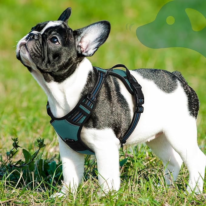 Eagloo Dog Harness Small Sized Dog, No Pull Service Vest with Reflective Strips and Control Handle, Adjustable and Comfortable for Walking, No Choke Pet Harness with 2 Metal Rings, Dark Green, S